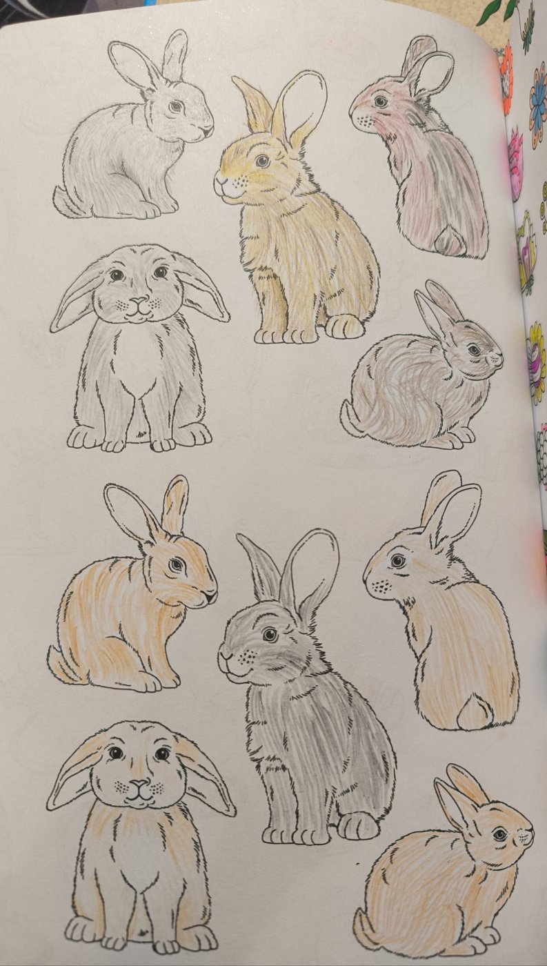 Зайчики от VikaS