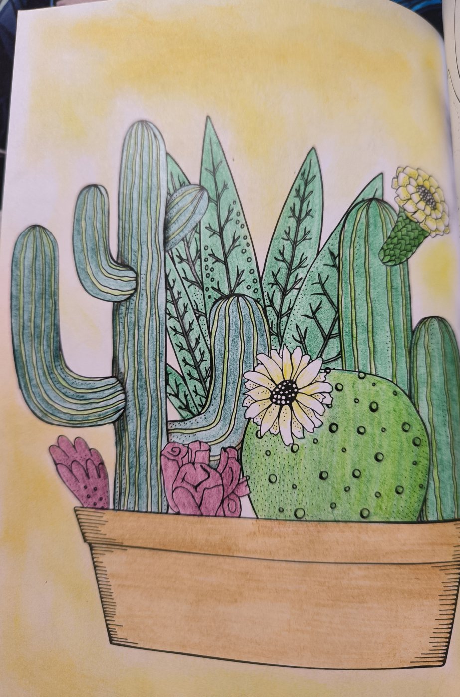 Кактус от VikaS