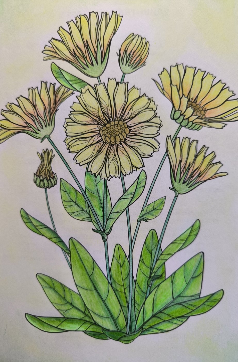 Одуванчики от VikaS