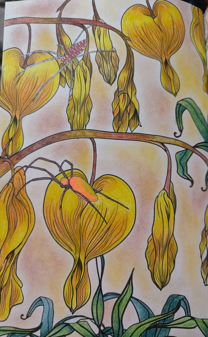 Цветы и пауки от VikaS