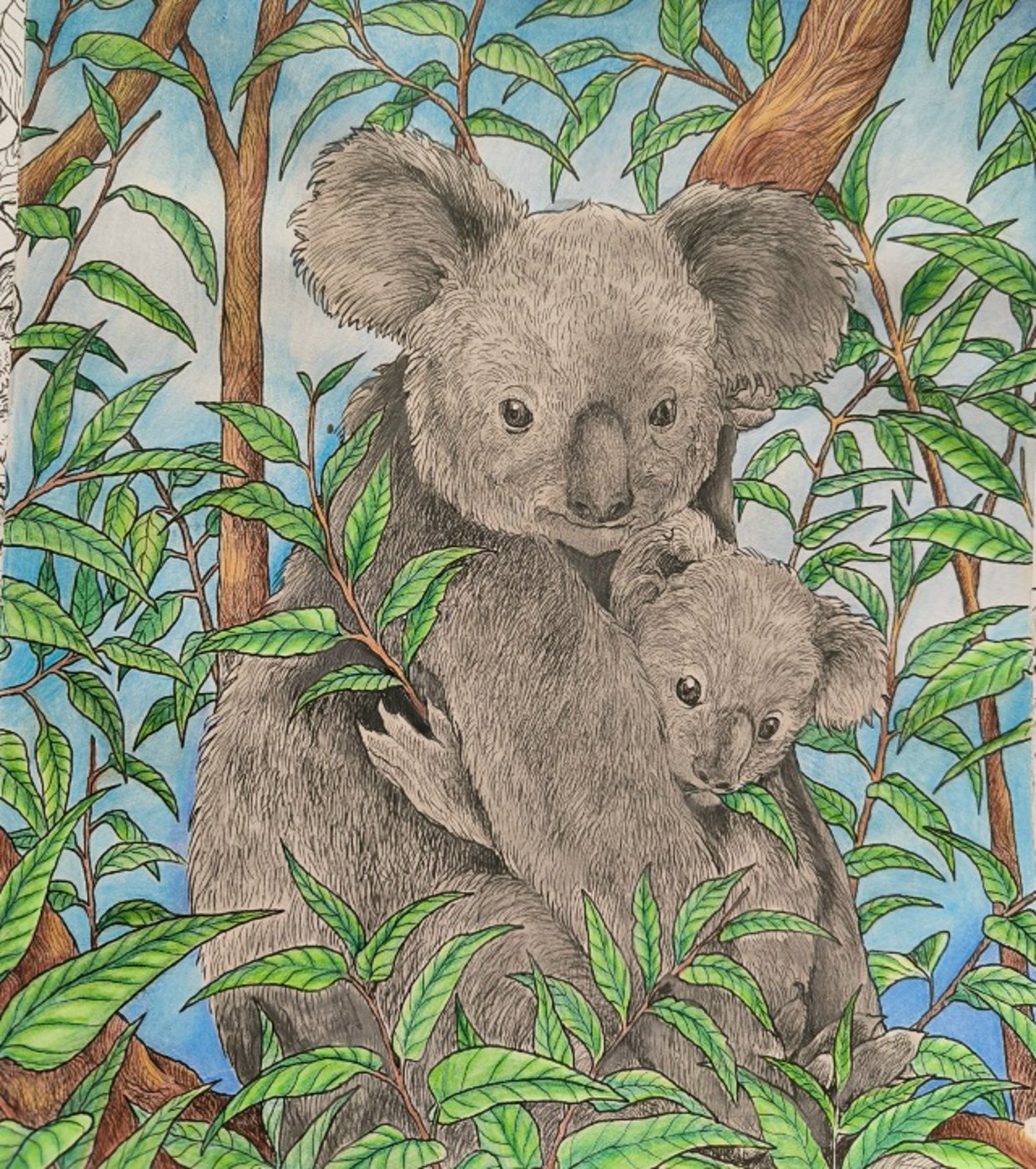 Семья Коалы от VikaS