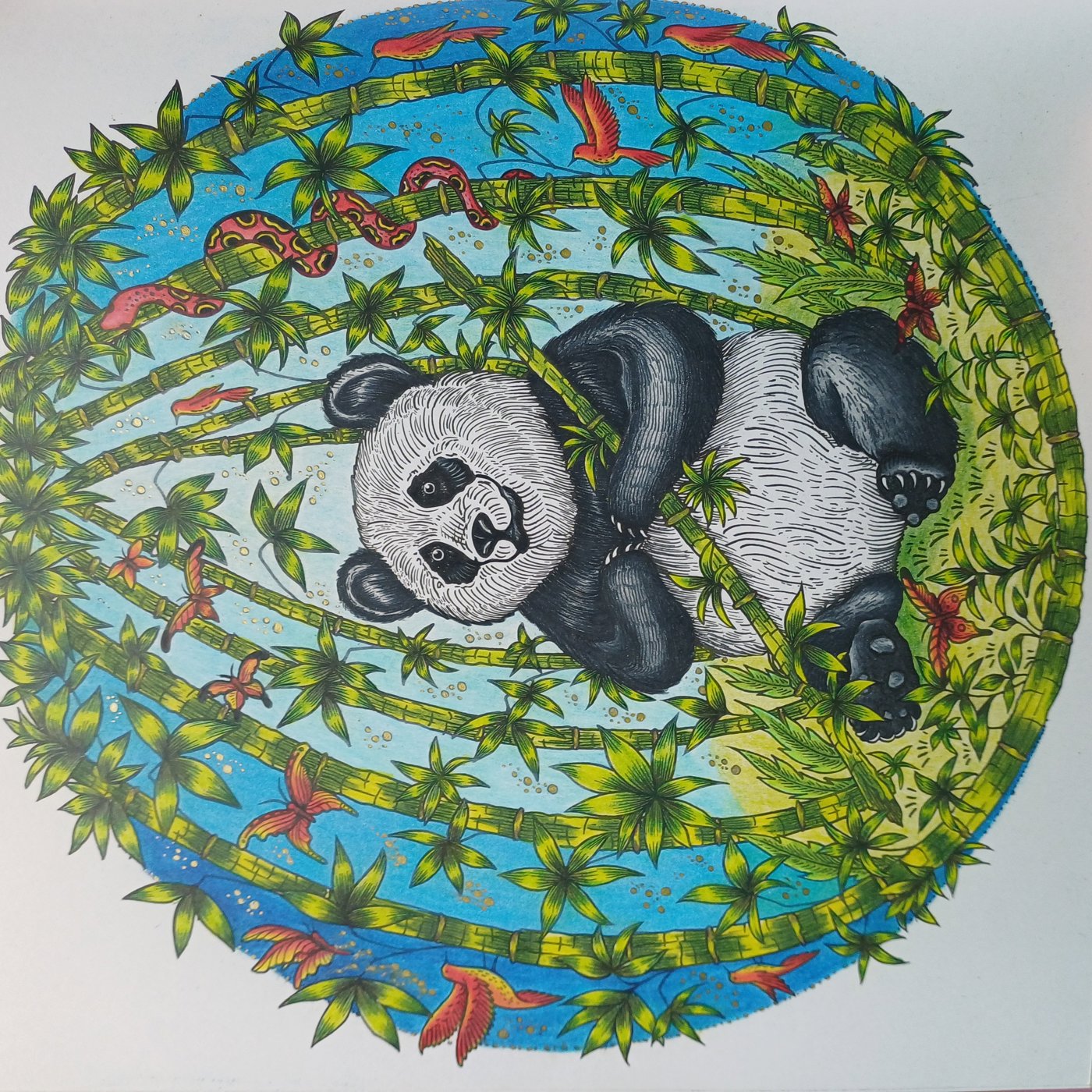 Работа от Violetta Zaikina