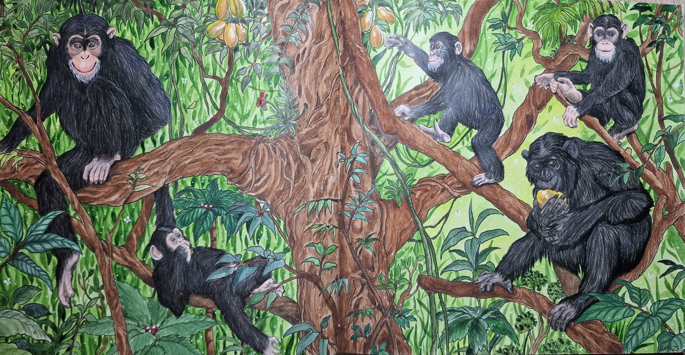Chimpanzees от Coloring with Marina