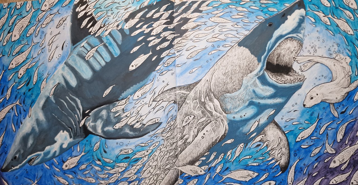 Great white sharks от Coloring with Marina