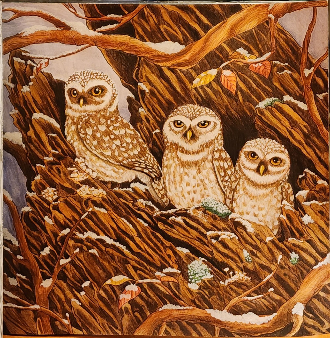 Работа от Allitera