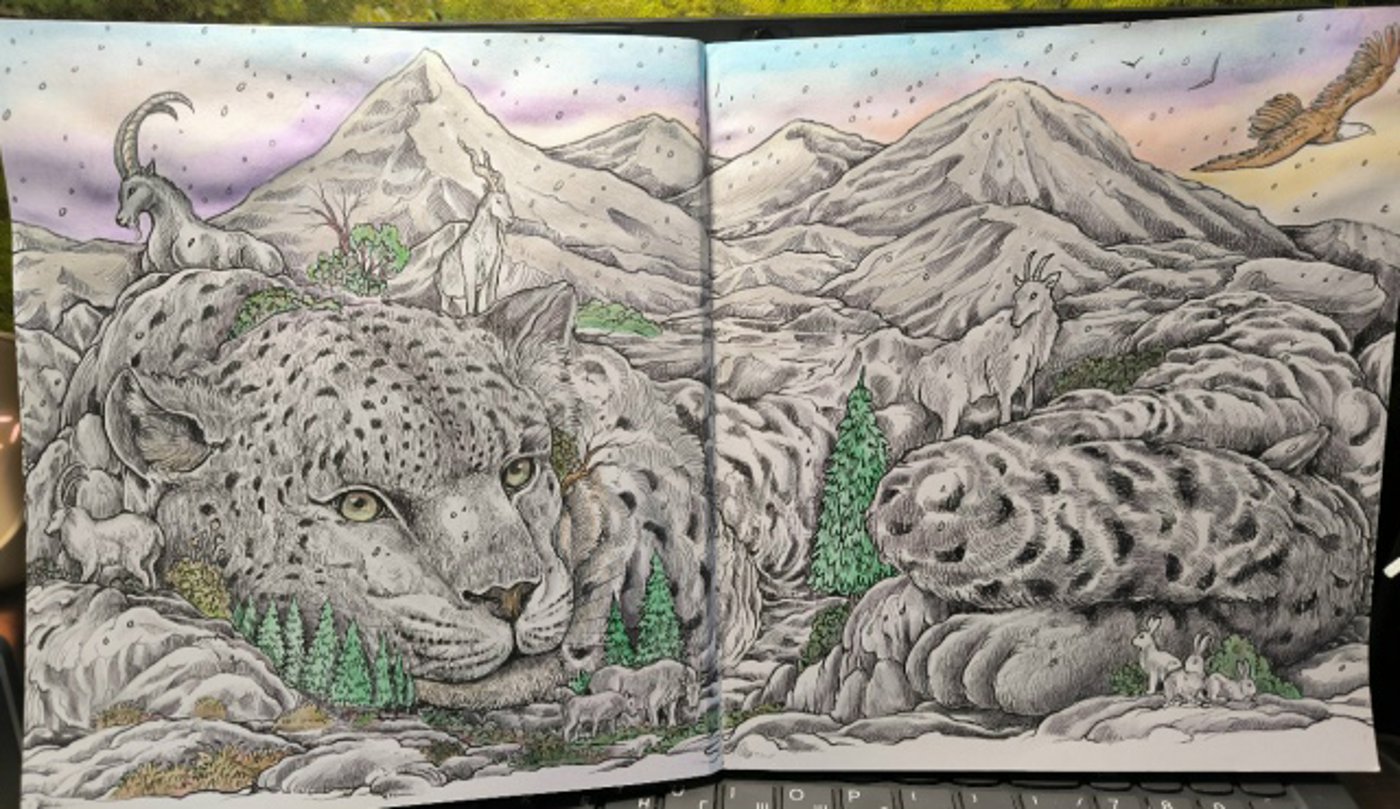 Снежный барс от VikaS