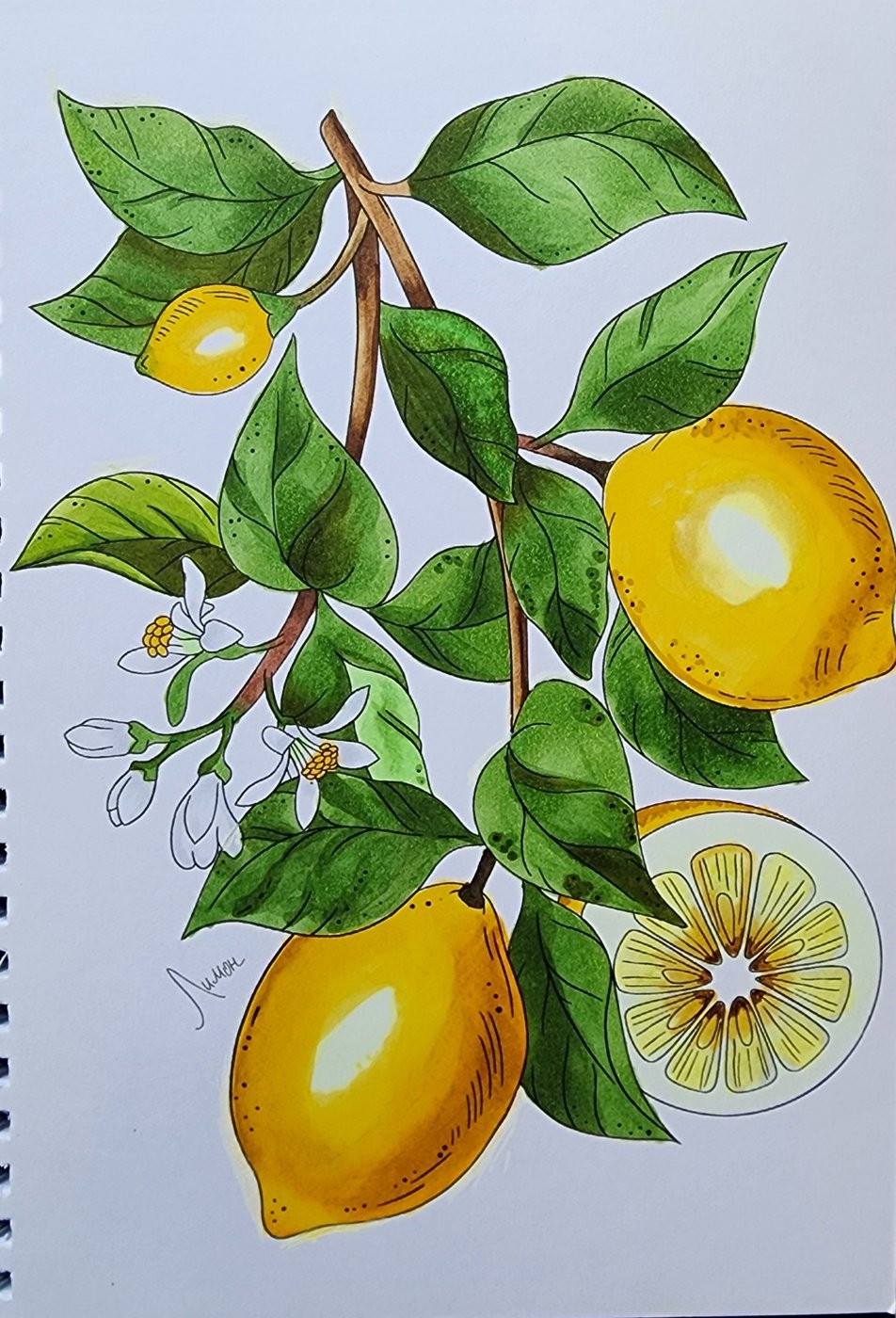 Работа от Allitera