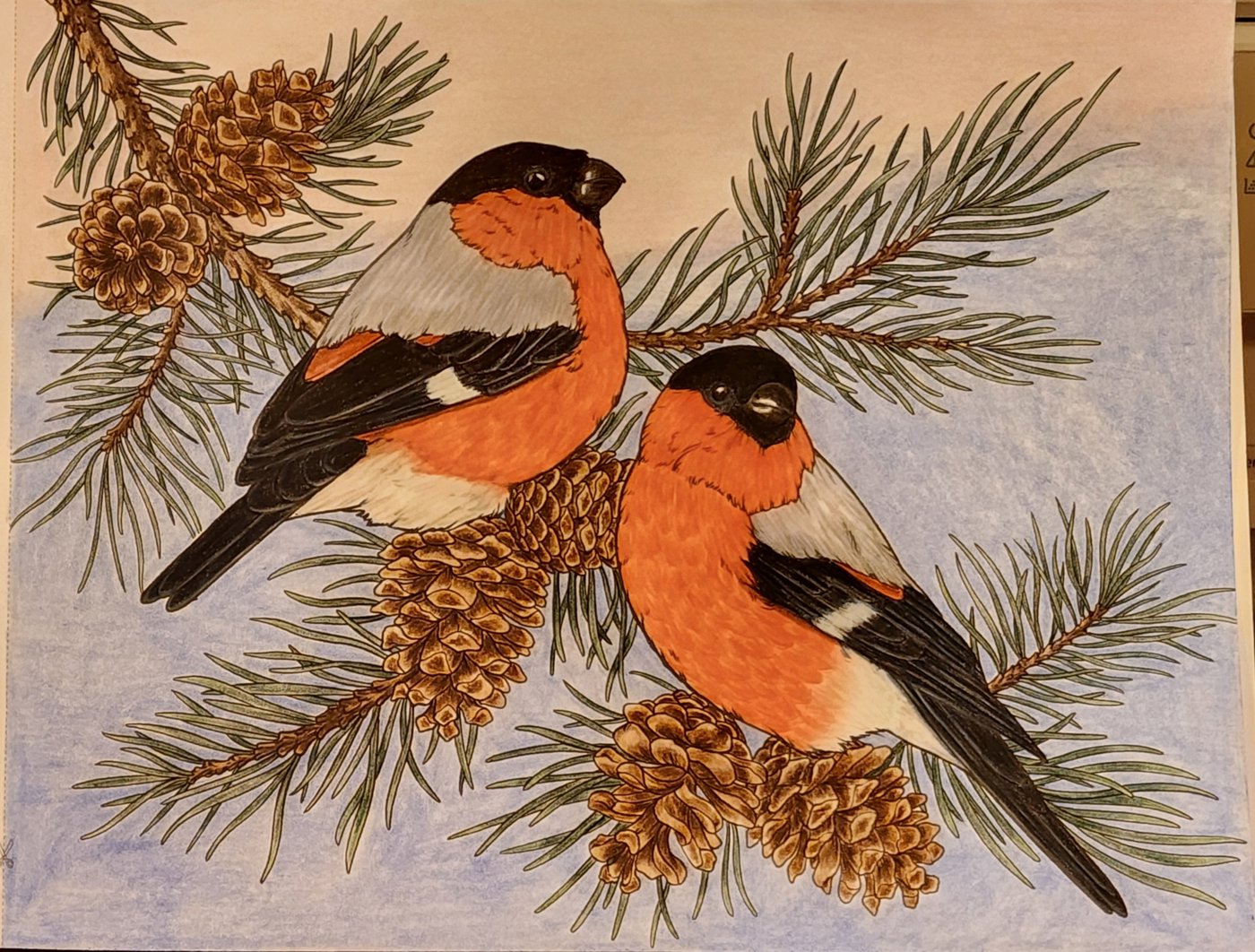 Работа от Allitera