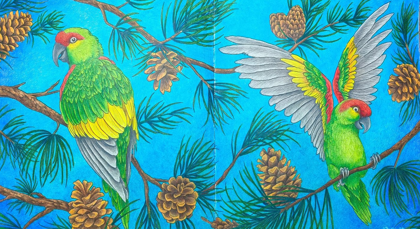 Работа от Baikal_coloring