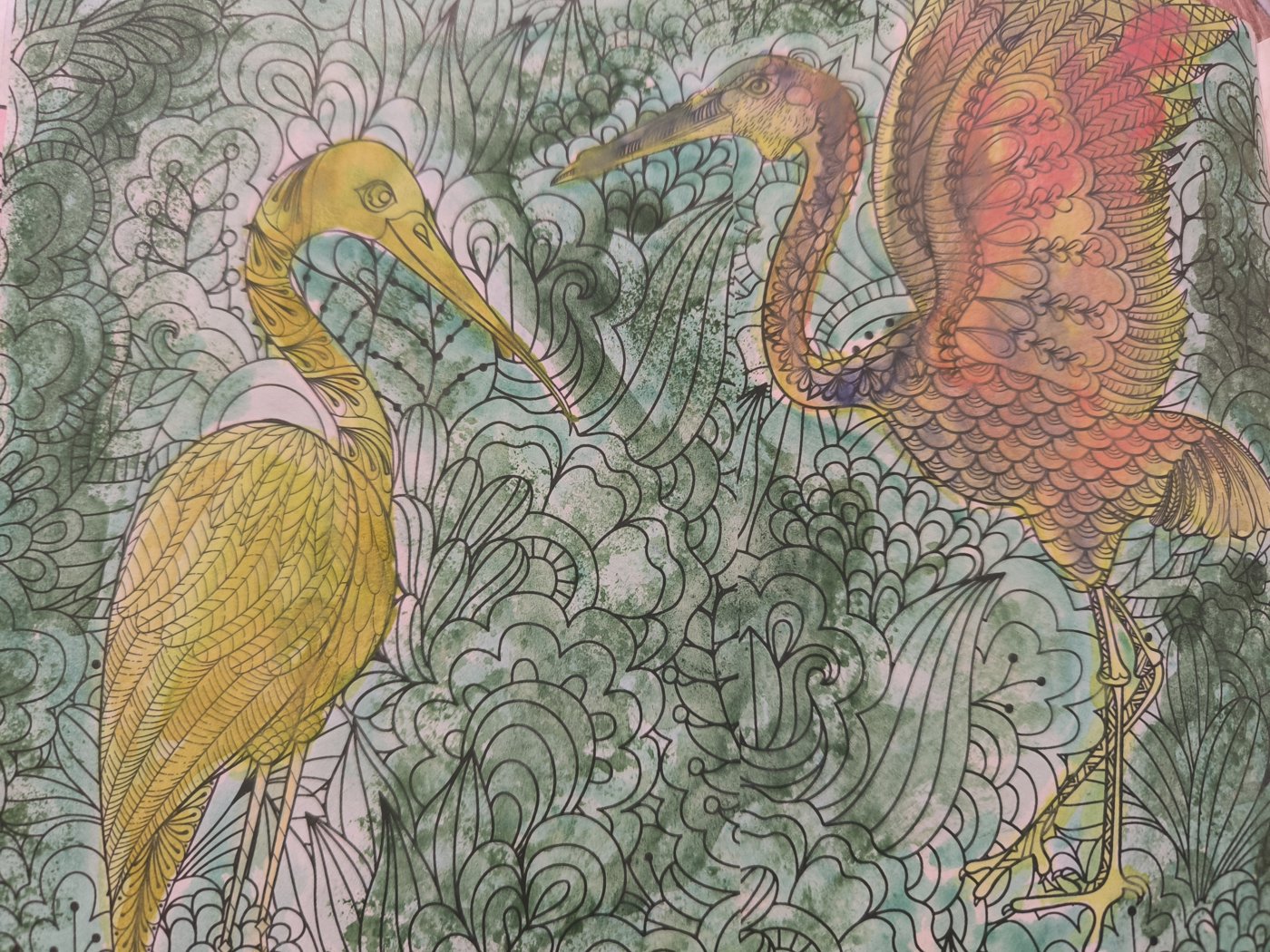 Цапли от VikaS