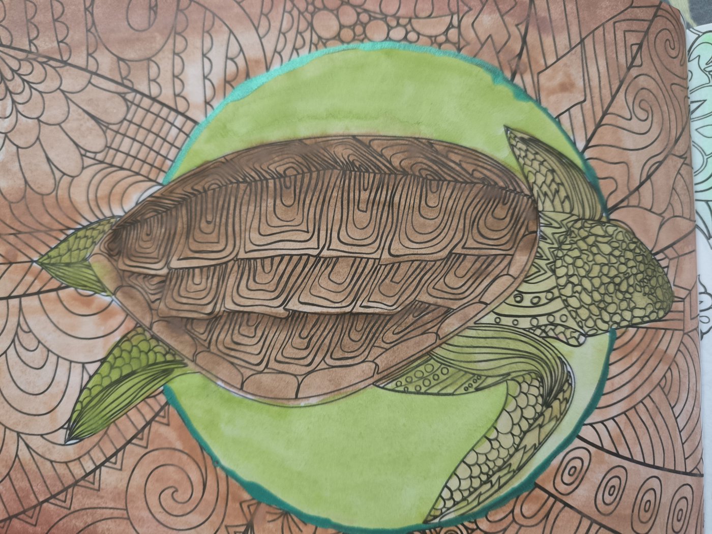 Черепашка от VikaS