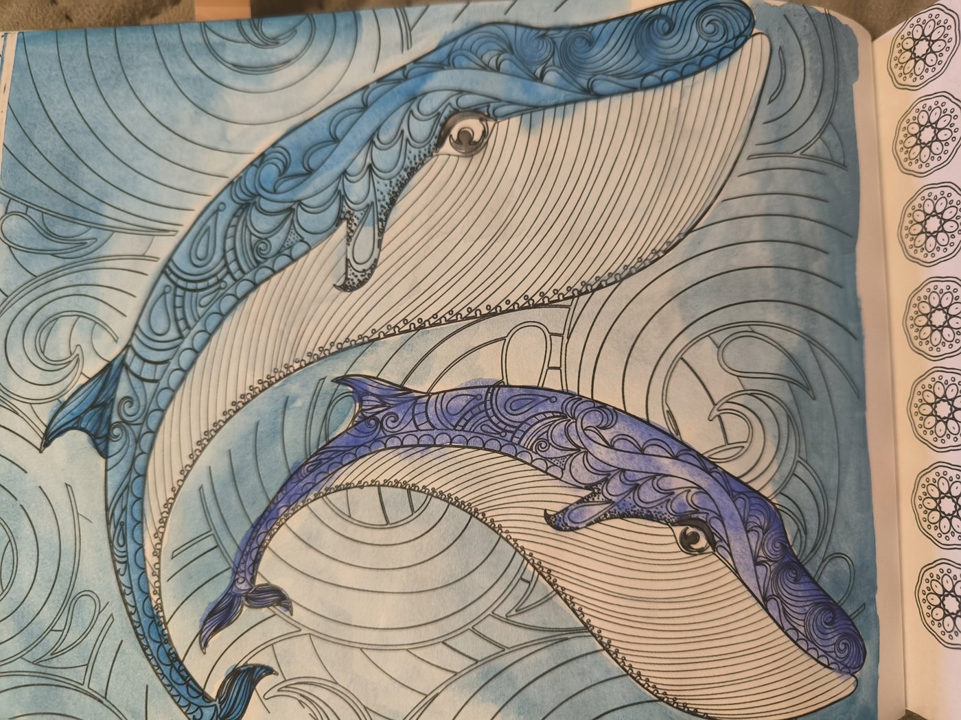 Пара китов от VikaS