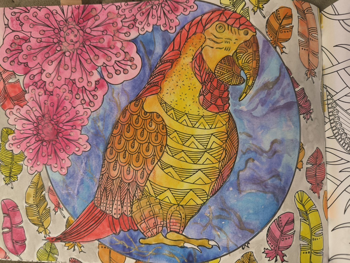 Попугай Ара от VikaS