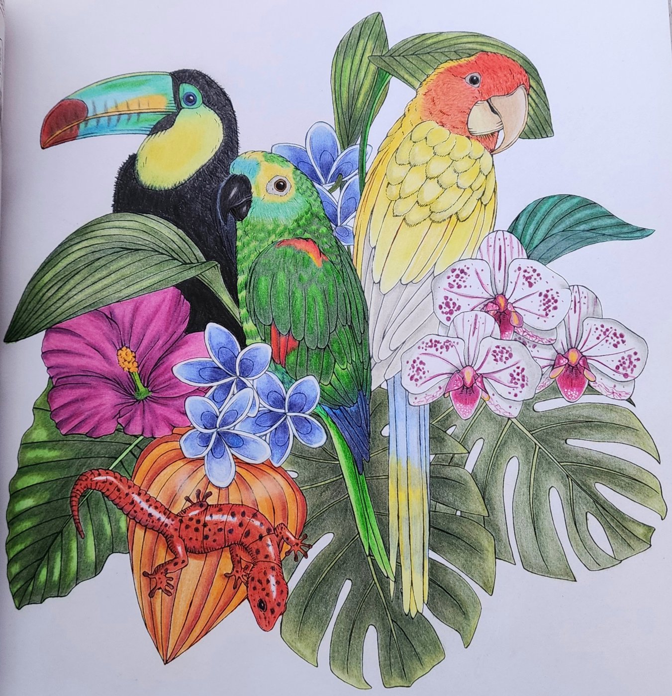 Работа от Allitera