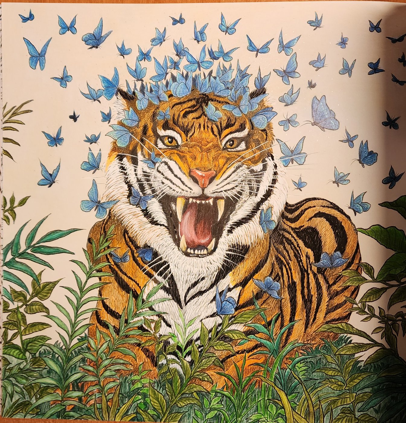 Работа от Allitera