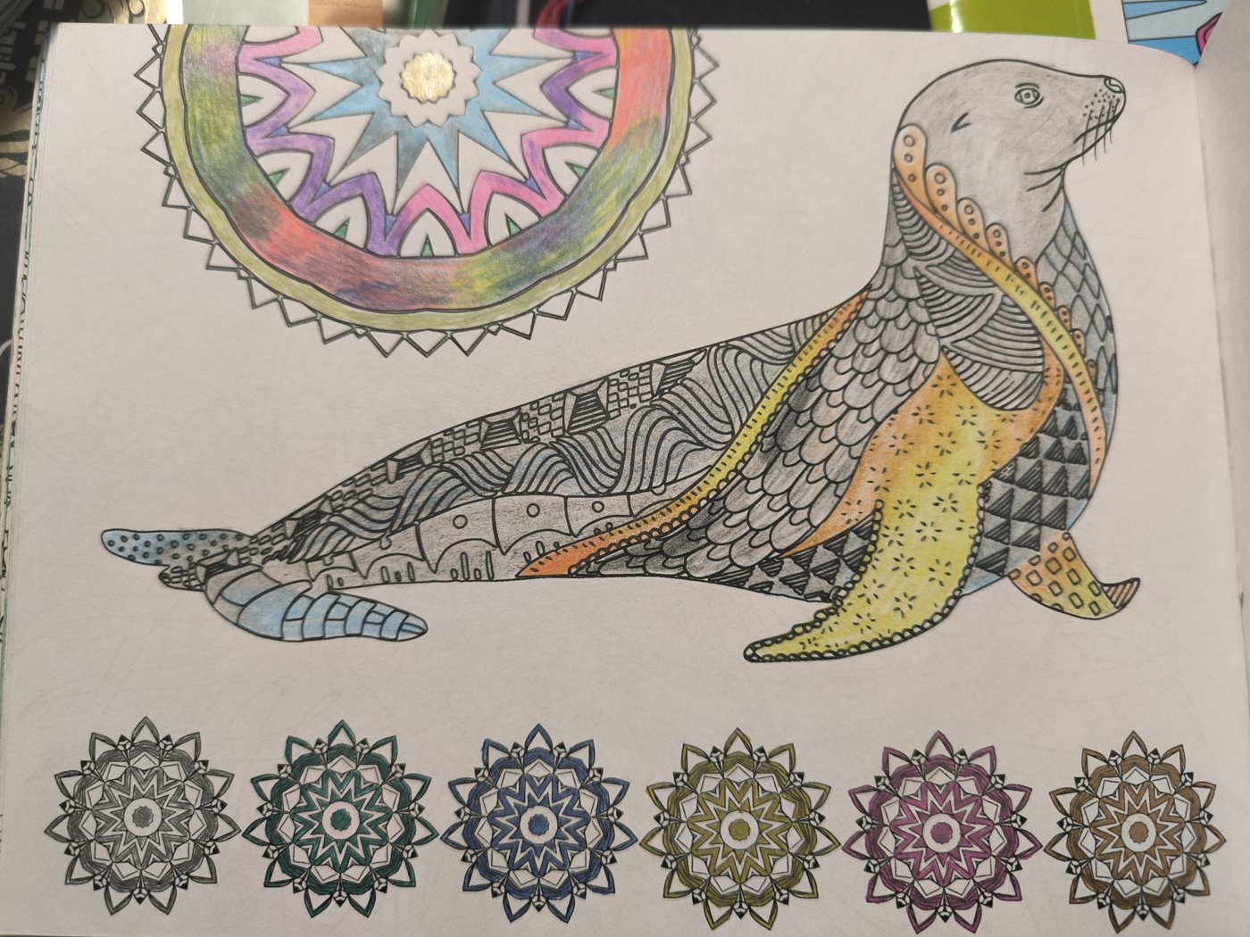 Морской котик от VikaS