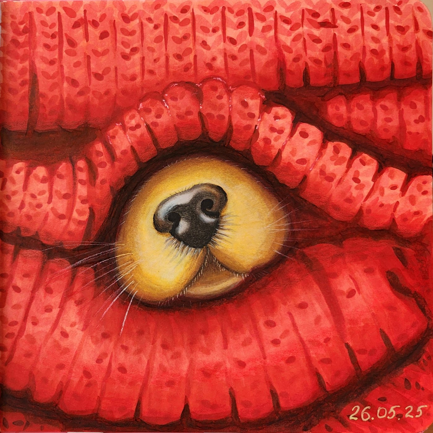 Пёсик в свитере от Allitera