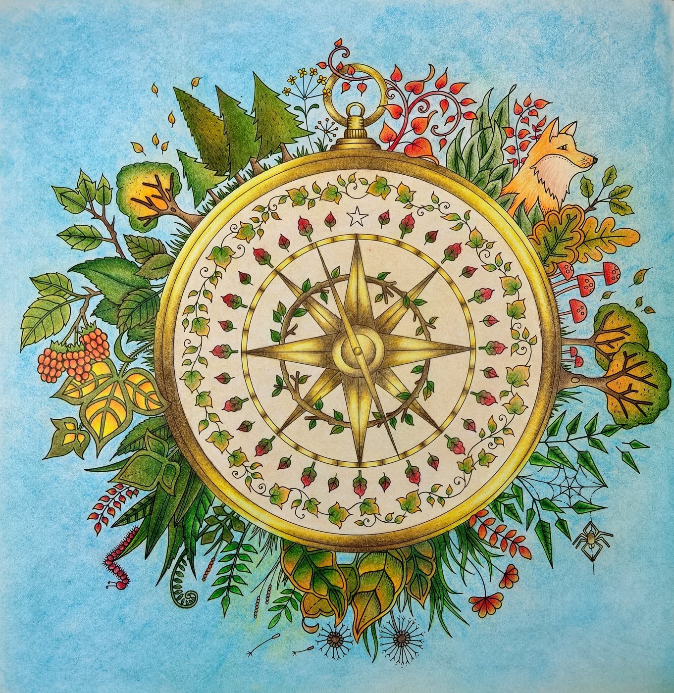 Работа от Baikal_coloring