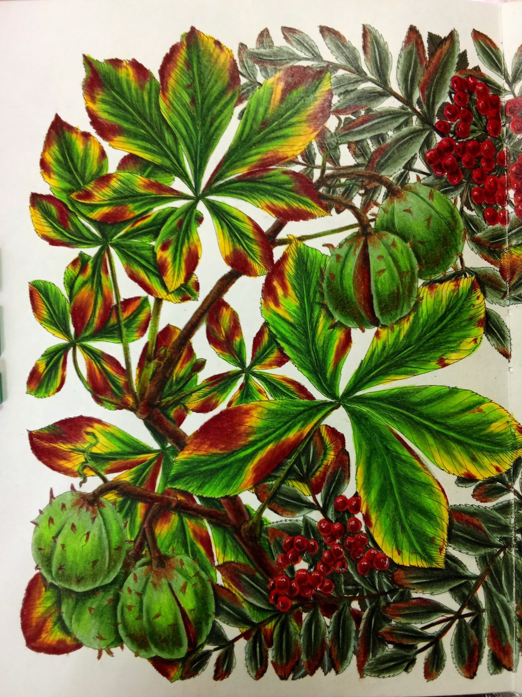 Работа от Наташа