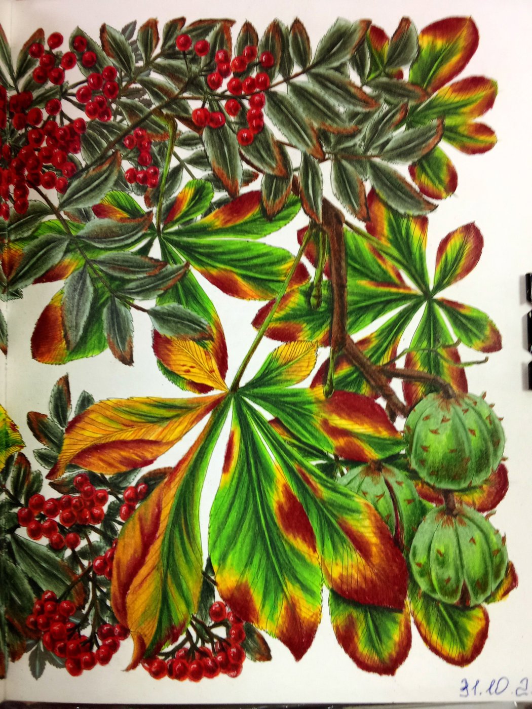 Работа от Наташа