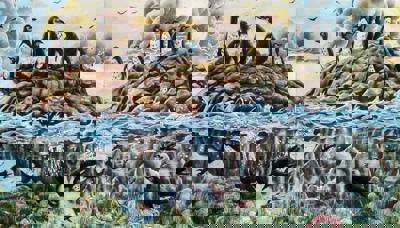 Работа от Katerina