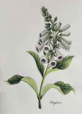 Работа от Katerina