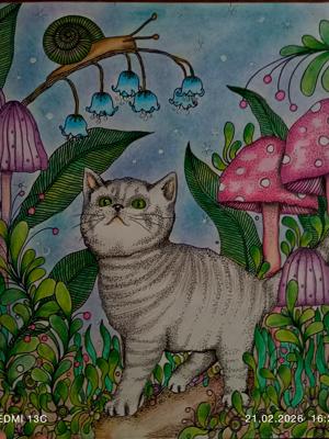 Работа от Анна