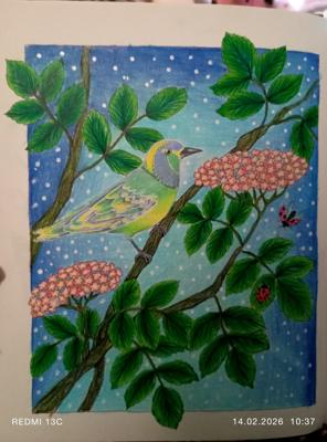 Работа от Анна