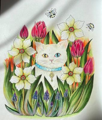 Работа от Alina Golovina