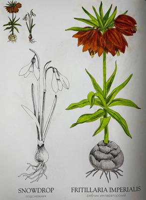 Работа от Margietti