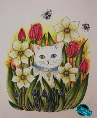 Работа от Irina_coloring_hobby