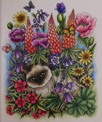 Работа от Irina_coloring_hobby