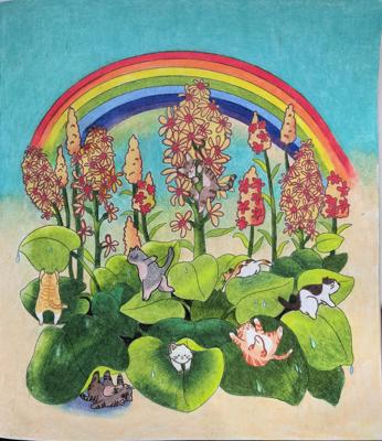 Бузульник Фишера от Filka