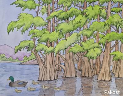 Работа от Elen Pakost