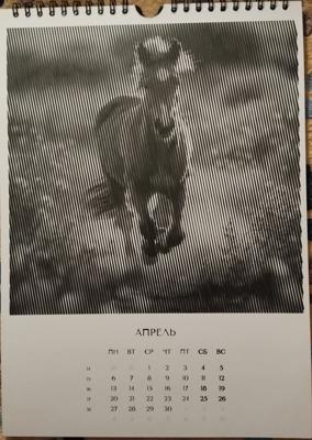 Работа от Lena Kot