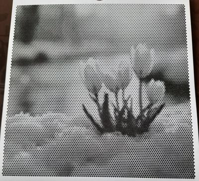 Работа от Veronika Podoplelova