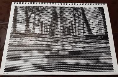 Работа от Veronika Podoplelova