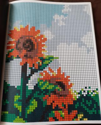 Работа от Veronika Podoplelova