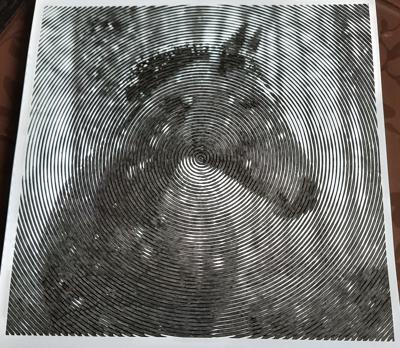 Работа от Veronika Podoplelova