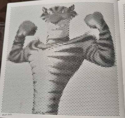 Работа от Veronika Podoplelova