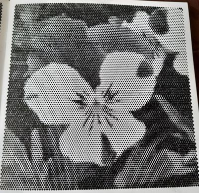 Анютины глазки от Veronika Podoplelova