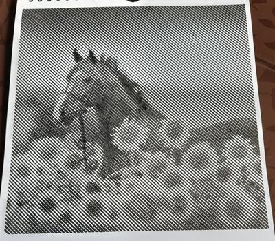 Работа от Veronika Podoplelova