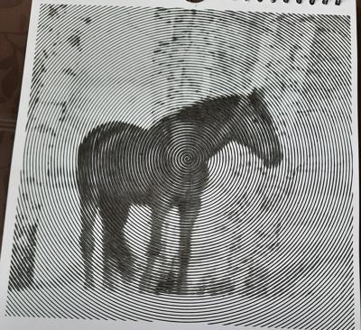 Работа от Veronika Podoplelova