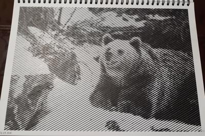 Работа от Veronika Podoplelova