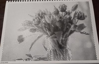 Работа от Veronika Podoplelova