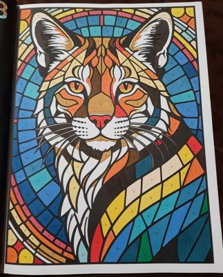 Работа от Veronika Podoplelova