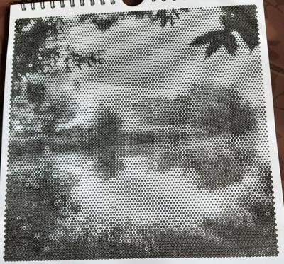 Работа от Veronika Podoplelova