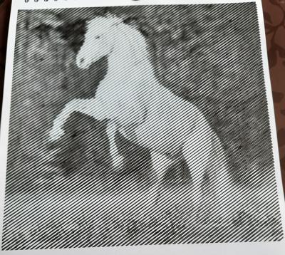 Работа от Veronika Podoplelova