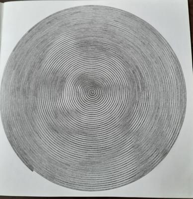 Работа от Veronika Podoplelova