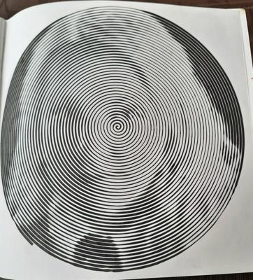 Работа от Veronika Podoplelova